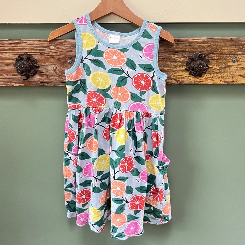 Hanna Andersson Light Blue Citrus Print Dress
